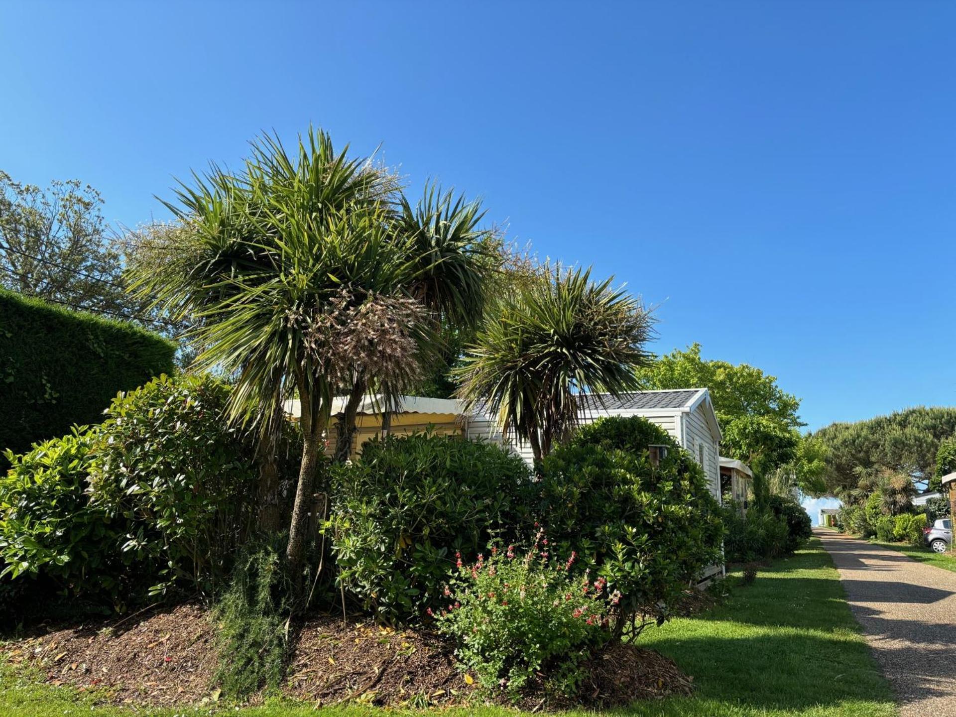 Tahiti Village La Grande Cote Saint-Palais-sur-Mer Exterior photo